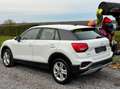 Audi Q2 35 TFSI Blanc - thumbnail 12