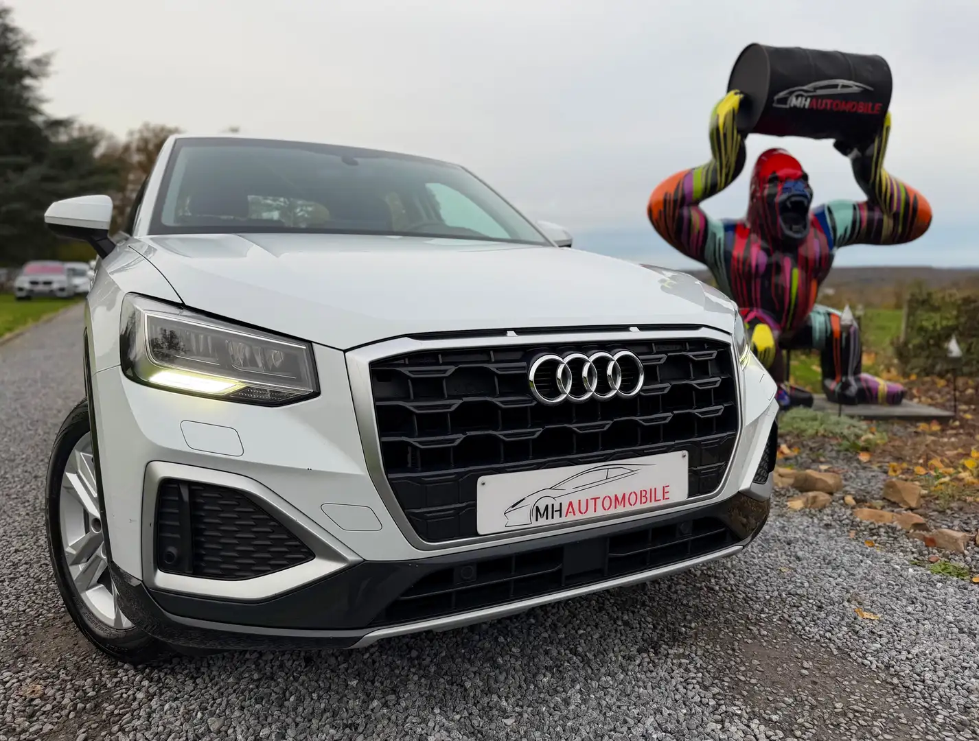 Audi Q2 35 TFSI Blanc - 1