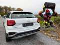 Audi Q2 35 TFSI Blanc - thumbnail 5