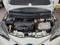 Toyota Yaris Hybrid Style Selection NAVI/KAMERA/SHZ/TOP Weiß - thumbnail 8