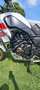 Yamaha XT 700 Rally uitvoering Bianco - thumbnail 7