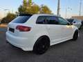 Audi S3 Quattro Sportback Xenon Navi Leder Panoramadach Blanc - thumbnail 5