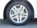 Kia Ceed / cee'd Ceed 1.5 T-GDI Vision Navi/Autom./Klima/Kamera BC Weiß - thumbnail 6