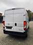 Opel Movano C Kasten HKa L2H2 3,5t Edition Wit - thumbnail 4