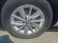 Volkswagen Golf Variant Golf Variant Rabbit BMT 1,6 TDI 4Motion Rabbit Grau - thumbnail 14