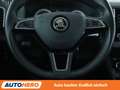 Skoda Karoq 1.6 TDI Style Aut.*APP*LED*ACC*PDC*KLIMA* Schwarz - thumbnail 19