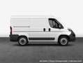 Opel Movano Cargo-e Edition L1H1 3.5t verstärkt Elektro Weiß - thumbnail 5