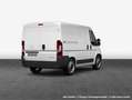 Opel Movano Cargo-e Edition L1H1 3.5t verstärkt Elektro Weiß - thumbnail 2