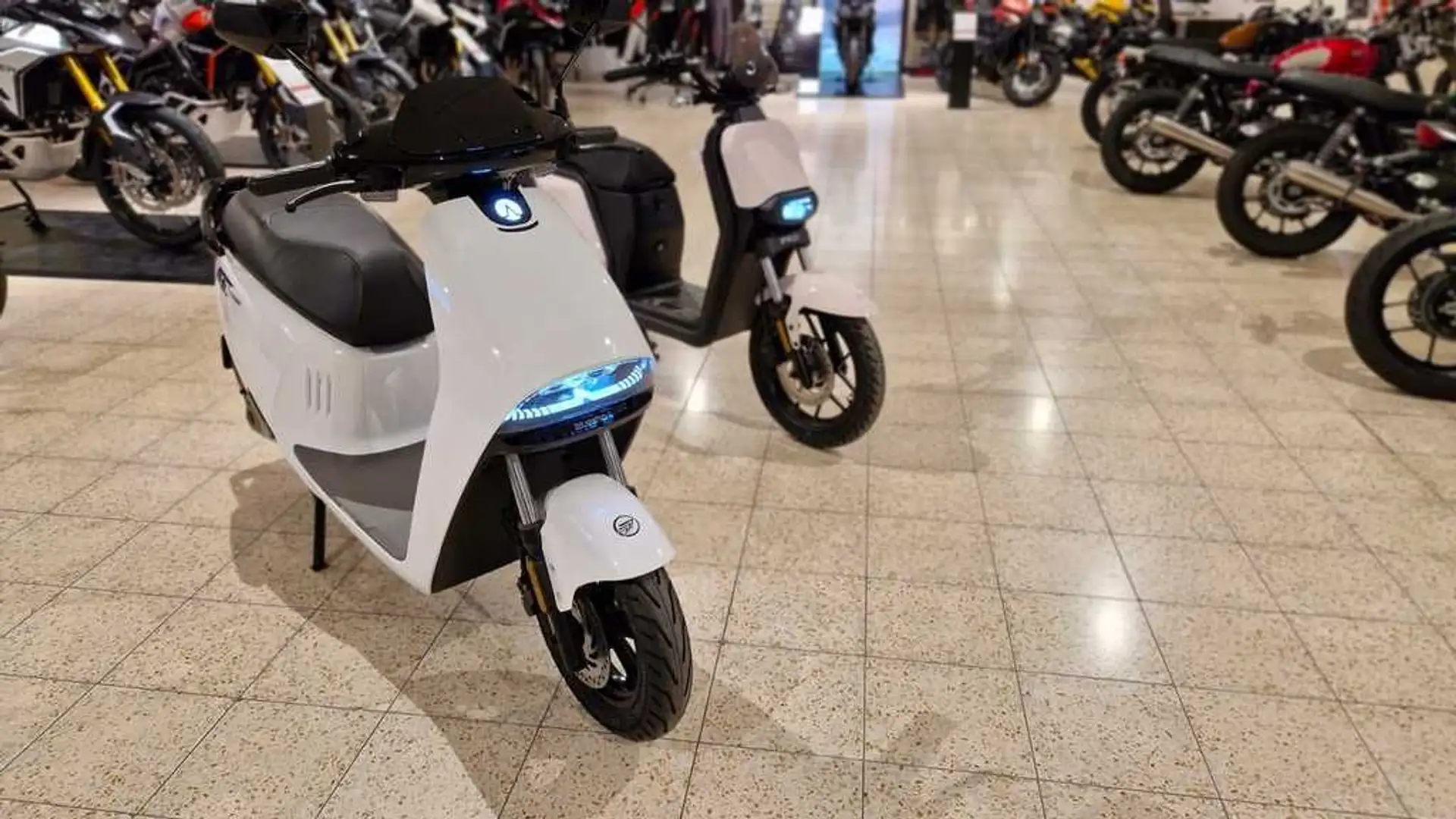 Keeway BLUESHARK H1 - Hauspreis!!! Blanc - 1