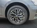 Skoda Octavia 2.0 TDI DPF Selection Kamera LED Gris - thumbnail 22