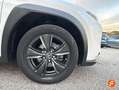 Lexus UX 250h 2.0 Business Blanco - thumbnail 19