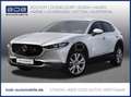 Mazda CX-30 Selection 2WD NAVI SHZ PDC HEAD-UP Plateado - thumbnail 1