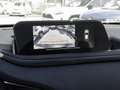 Mazda CX-30 Selection 2WD NAVI SHZ PDC HEAD-UP Argento - thumbnail 17