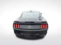 Ford Mustang Shelby GT500 FASTBACK - thumbnail 6