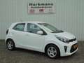 Kia Picanto 1.0i COMFORTLINE CRUISE CONTROL NL-AUTO Weiß - thumbnail 3