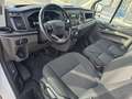 Ford Transit Custom L2H1 130CV MHEV Blanc - thumbnail 6