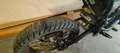 KSR Moto TR 50 TRX Arancione - thumbnail 6