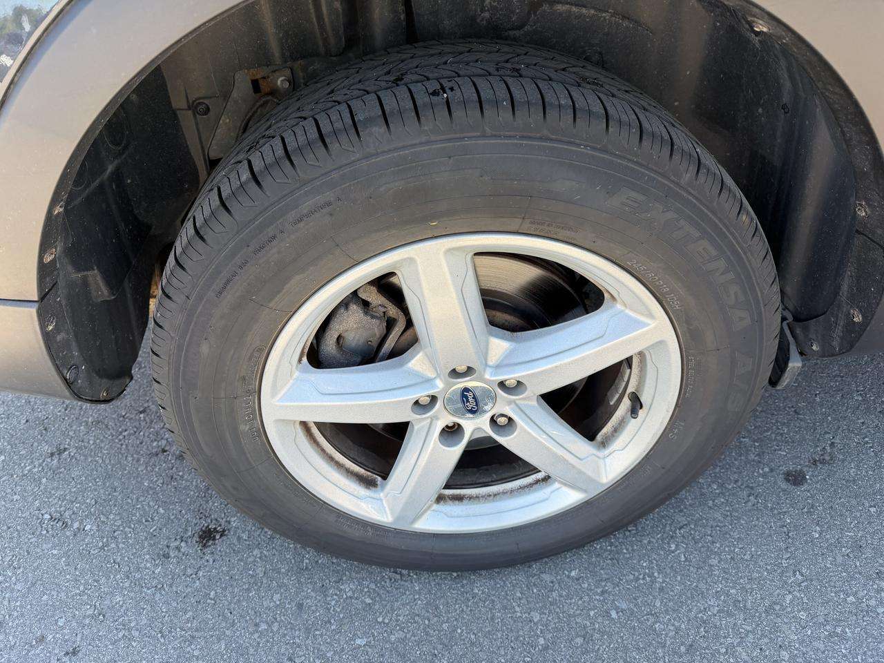 Image 8