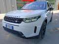 Land Rover Discovery Sport 2.0 I4 MHEV 150cv R-Dynamic S AWD 2.0d i4 mhev R- Wit - thumbnail 2