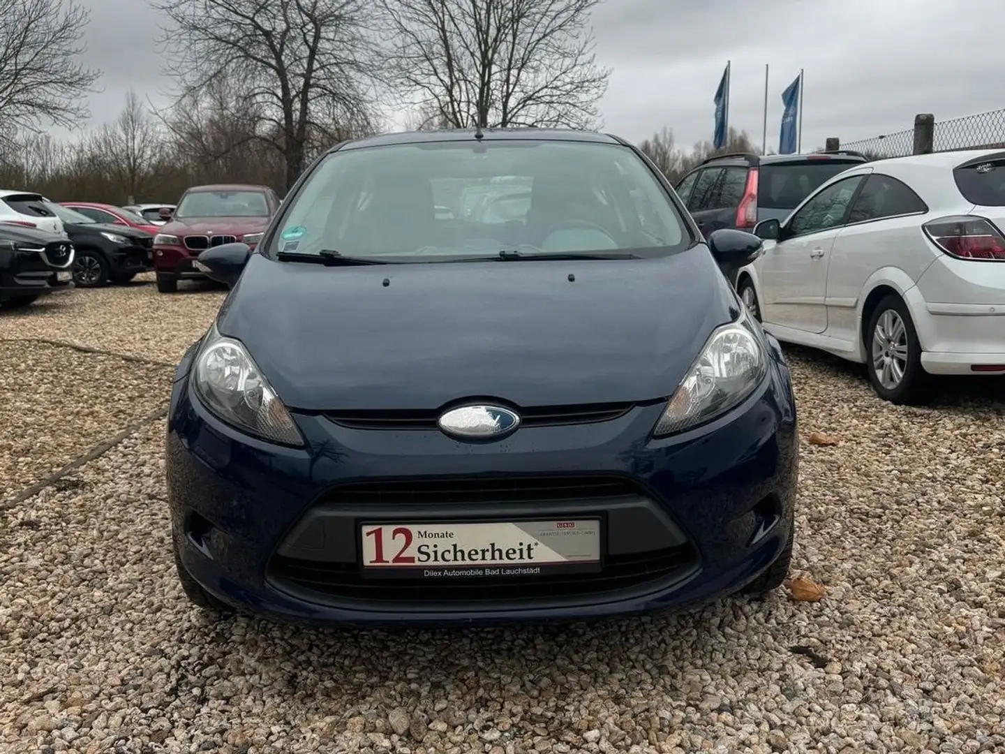 Ford Fiesta Trend*TÜV+Service*Garantie* Blau - 2