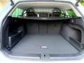 Volkswagen Passat Alltrack 2.0 BiTDI 4motion 240cv DSG Белый - thumbnail 9