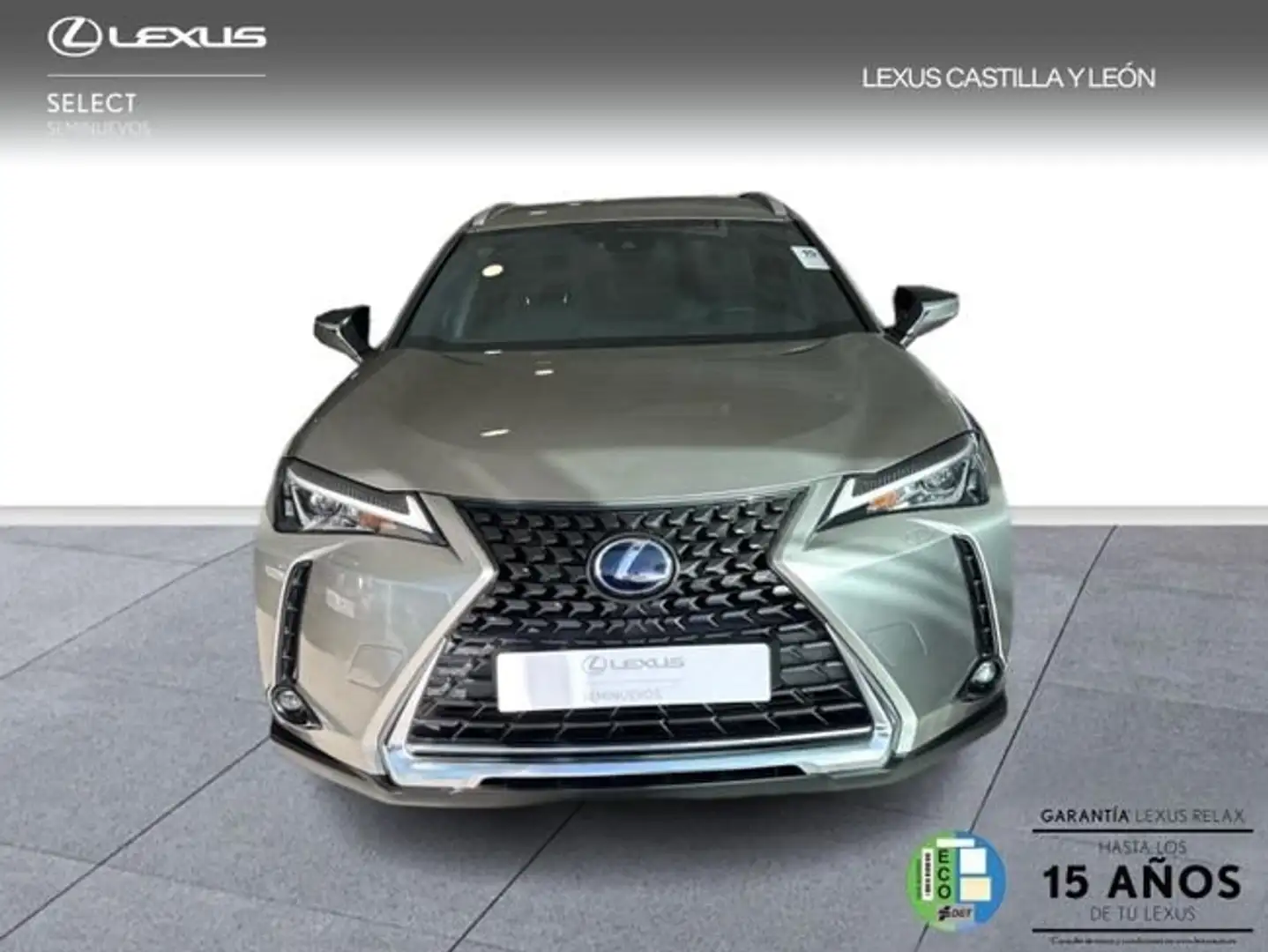 Lexus UX 250h Business City 2WD Gris - 2