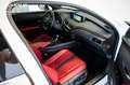 Lexus UX 250h ENGAWA Fehér - thumbnail 14