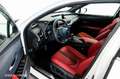 Lexus UX 250h ENGAWA Weiß - thumbnail 9