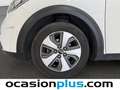 Kia Niro 1.6 HEV Drive Weiß - thumbnail 3
