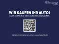 Ford Focus Turnier Active Allwetterreifen LED HUD El. Heckkla Rot - thumbnail 4