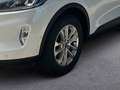 Ford Kuga 2.0 EcoBlue Titanium X,  AUT, AHK, AWD Weiß - thumbnail 6