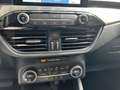Ford Kuga 2.0 EcoBlue Titanium X,  AUT, AHK, AWD Weiß - thumbnail 18