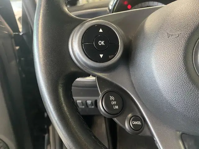 Smart Fortwo view 12