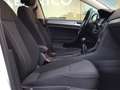 Volkswagen Golf 1.0 TSI 85KW READY2GO VARIANT 5P Blanco - thumbnail 13
