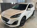 Ford Kuga Kuga 2,5 Duratec FHEV Vignale Aut. Vignale Weiß - thumbnail 1