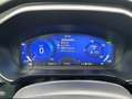 Ford Kuga Kuga 2,5 Duratec FHEV Vignale Aut. Vignale Weiß - thumbnail 7