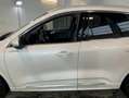 Ford Kuga Kuga 2,5 Duratec FHEV Vignale Aut. Vignale Weiß - thumbnail 10