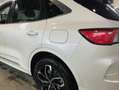 Ford Kuga Kuga 2,5 Duratec FHEV Vignale Aut. Vignale Weiß - thumbnail 11