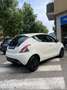 Lancia Ypsilon 1.2 69 CV 5 porte GPL Ecochic Elefantino Bianco - thumbnail 5