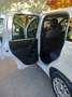 Fiat Panda Panda 1.2 Easy Bianco - thumbnail 8