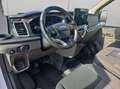 Ford Transit 350 L3H2 Lkw VA Trend**Kamera/ACC** Blanc - thumbnail 11