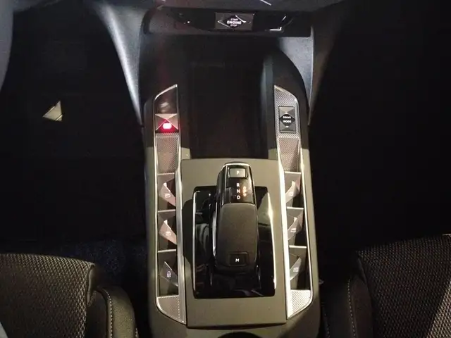 DS Automobiles DS 3 view 18