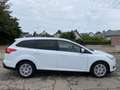 Ford Focus Clipper 1.5 Tdci Business Class 95cv Apple CarPlay Blanc - thumbnail 4