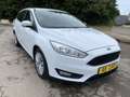 Ford Focus Clipper 1.5 Tdci Business Class 95cv Apple CarPlay Blanc - thumbnail 3