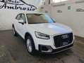 Audi Q2 Q2 1.6 TDI S tronic Blanco - thumbnail 3