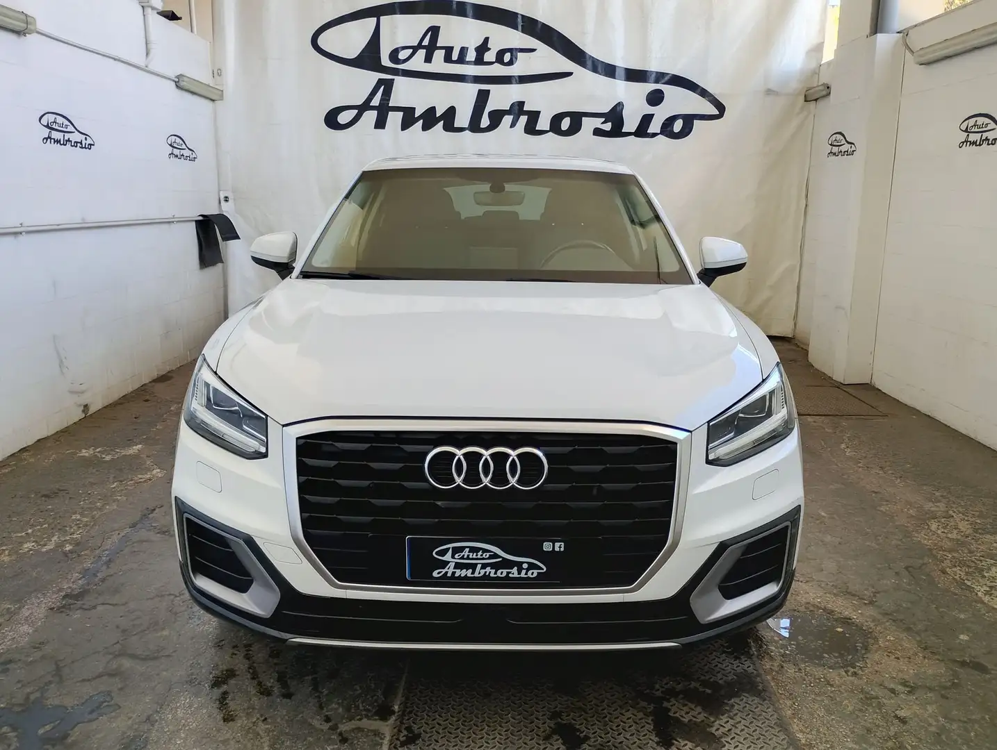 Audi Q2 Q2 1.6 TDI S tronic Blanco - 2