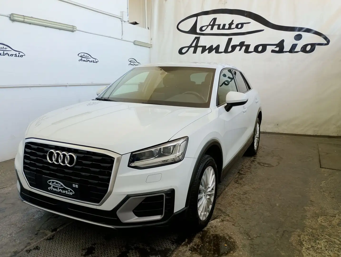 Audi Q2 Q2 1.6 TDI S tronic Blanco - 1