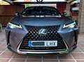 Lexus UX 250h UX 250h Business 2WD Business Gris - thumbnail 13