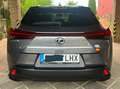 Lexus UX 250h UX 250h Business 2WD Business Gris - thumbnail 4