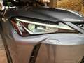 Lexus UX 250h UX 250h Business 2WD Business Gris - thumbnail 12